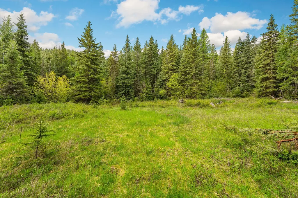 1520 Bierney Creek Road Lakeside MT 59922
