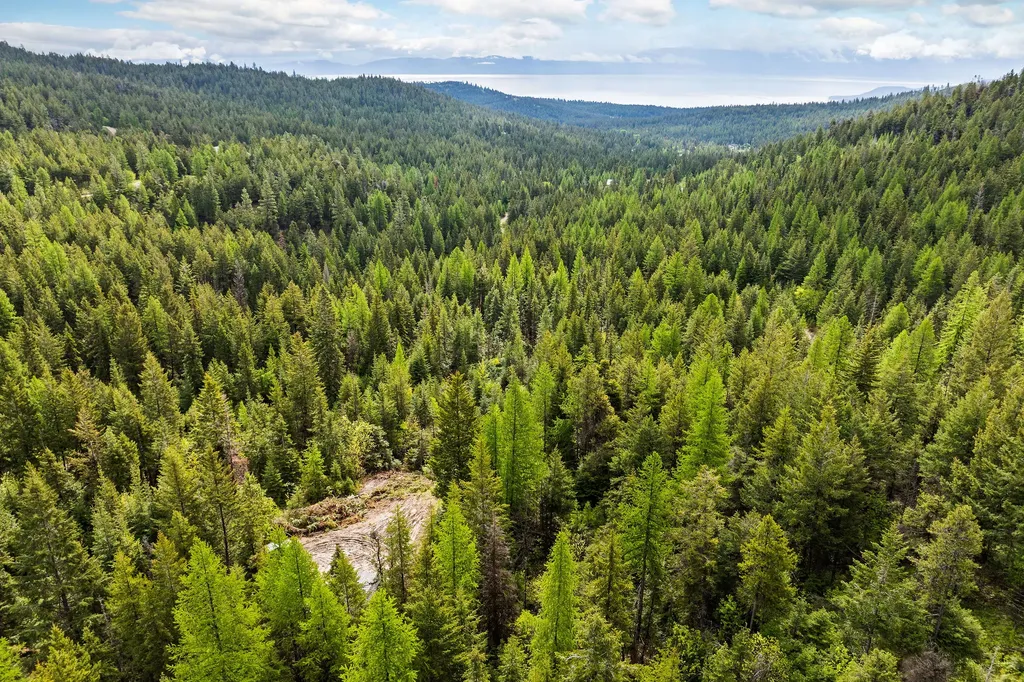 1520 Bierney Creek Road Lakeside MT 59922