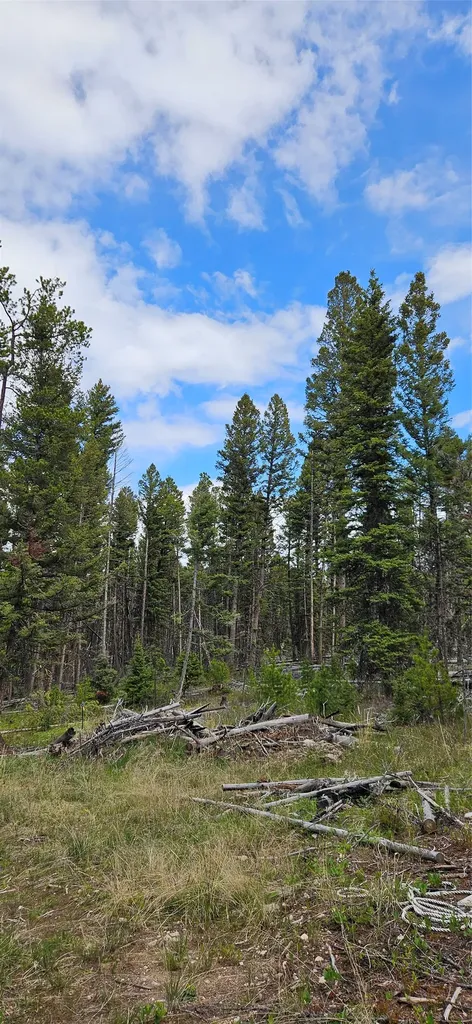 000 Bear Gulch Road Lincoln MT 59639