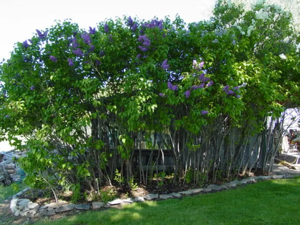 1340 Honey House Lane Corvallis MT 59828