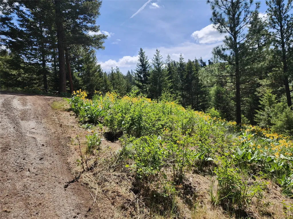 19063 Copper Ridge Trail Florence MT 59833