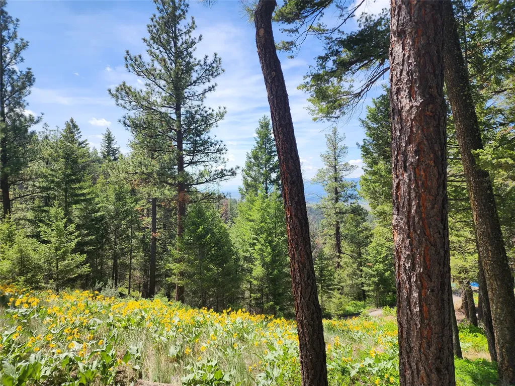 19063 Copper Ridge Trail Florence MT 59833
