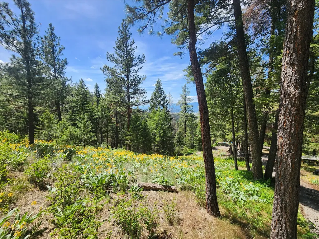 19063 Copper Ridge Trail Florence MT 59833