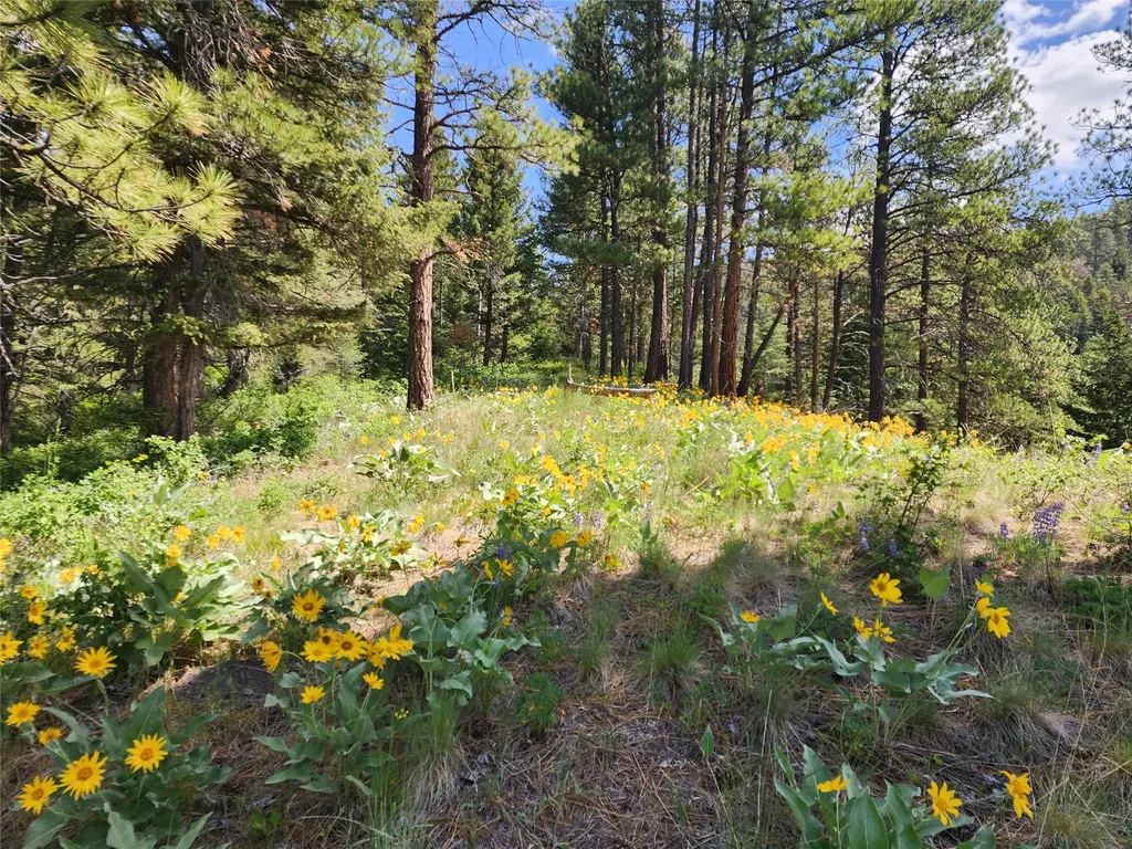 19063 Copper Ridge Trail Florence MT 59833