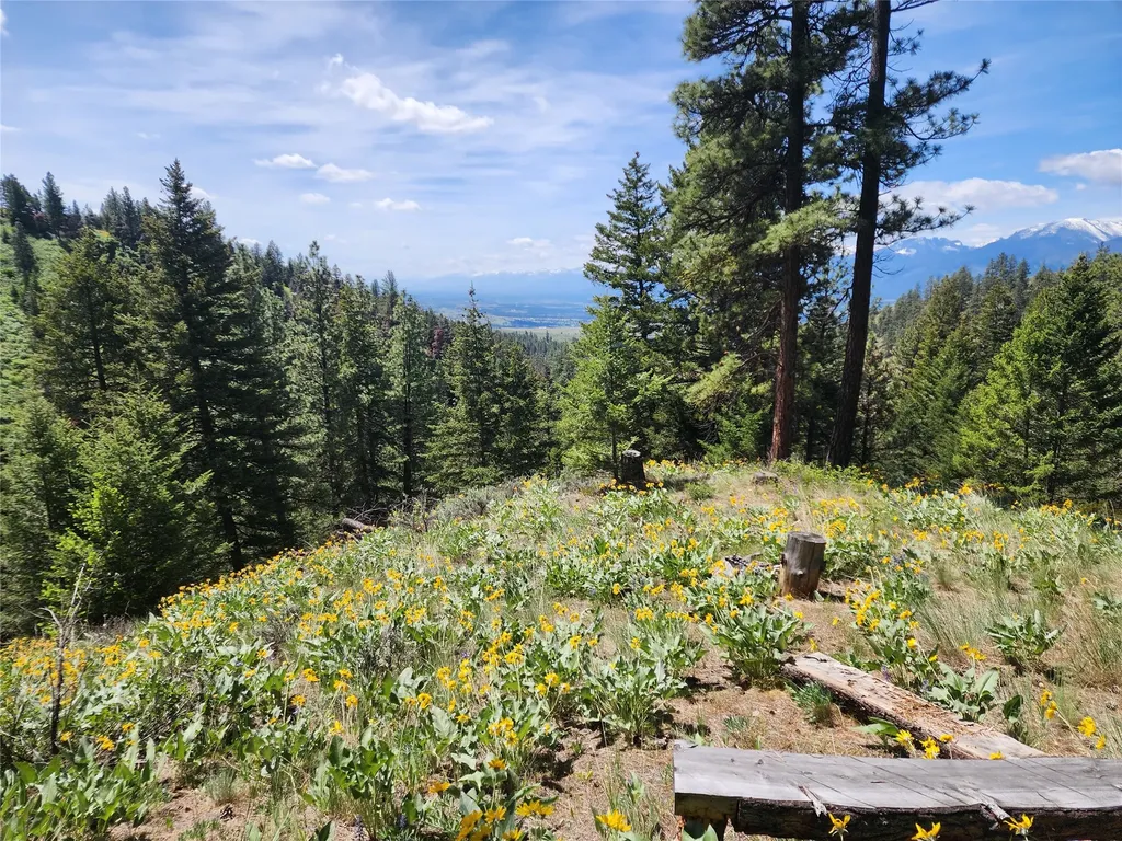 19063 Copper Ridge Trail Florence MT 59833