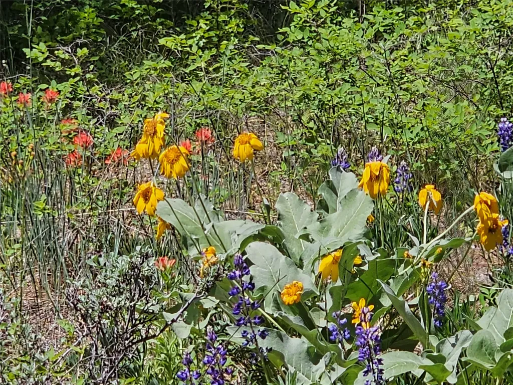 19063 Copper Ridge Trail Florence MT 59833