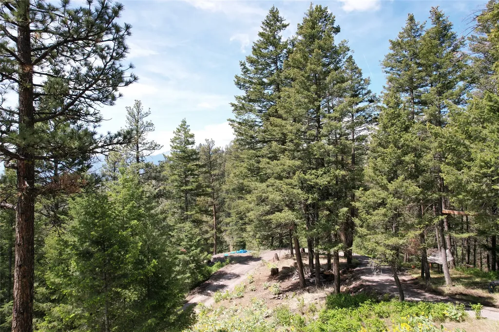 19063 Copper Ridge Trail Florence MT 59833