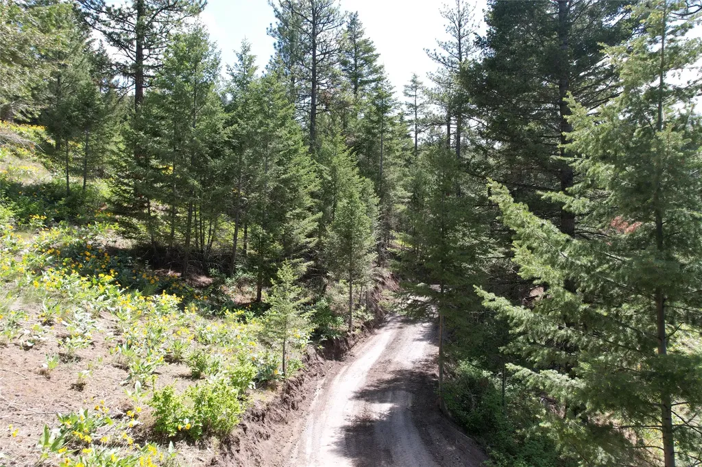 19063 Copper Ridge Trail Florence MT 59833