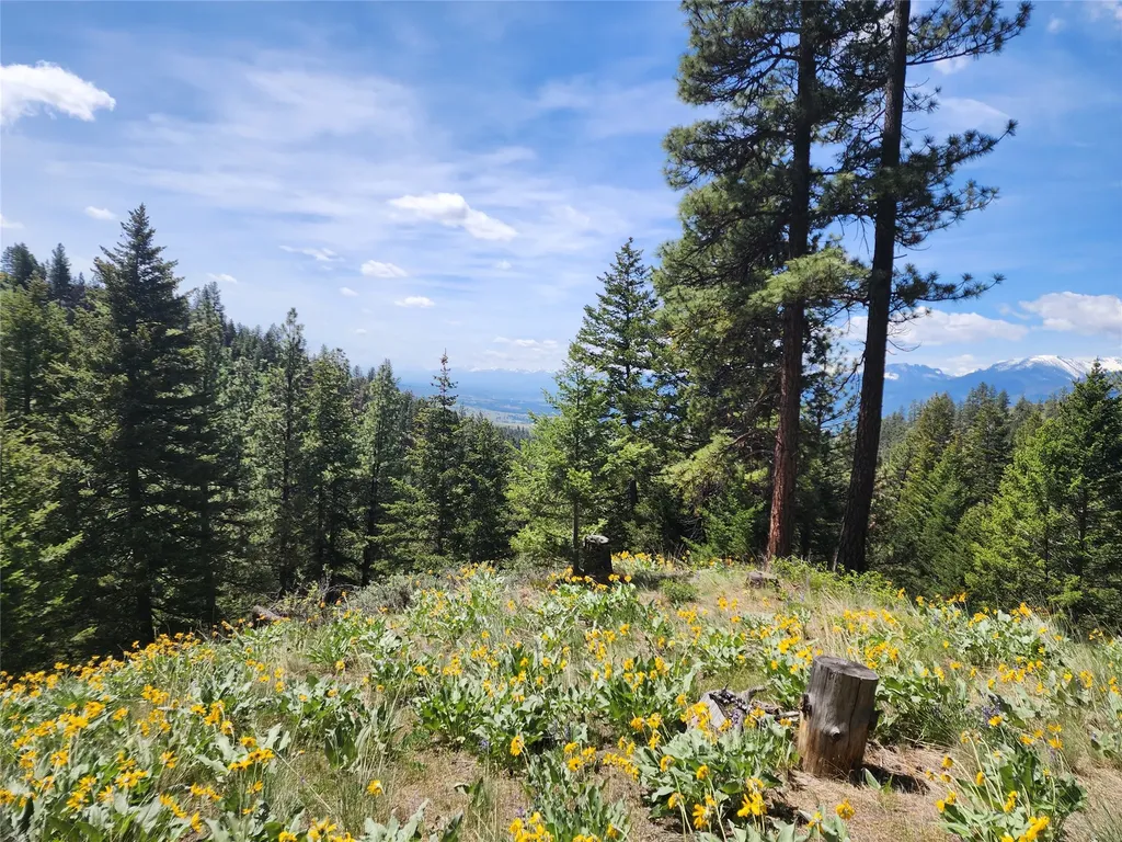 19063 Copper Ridge Trail Florence MT 59833