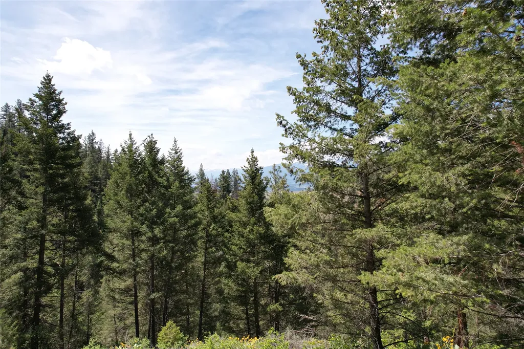 19063 Copper Ridge Trail Florence MT 59833