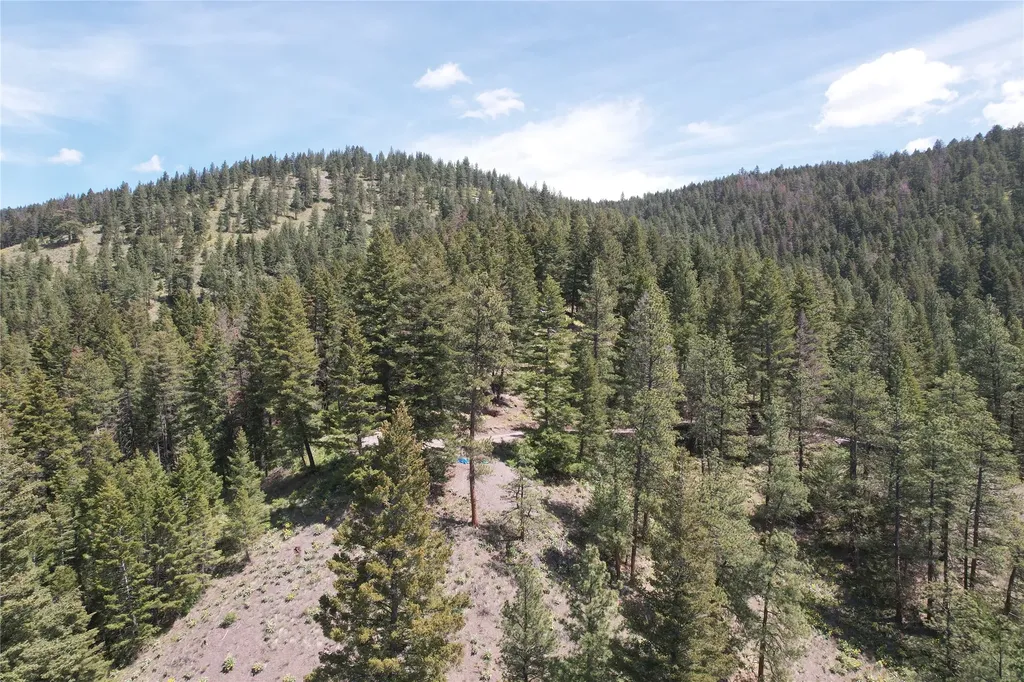 19063 Copper Ridge Trail Florence MT 59833