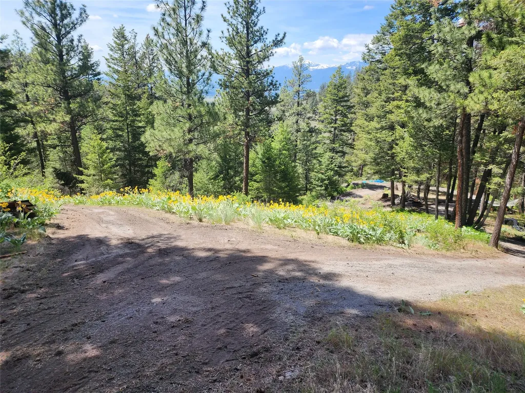 19063 Copper Ridge Trail Florence MT 59833