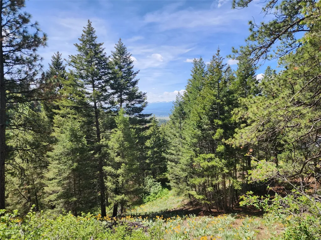 19063 Copper Ridge Trail Florence MT 59833