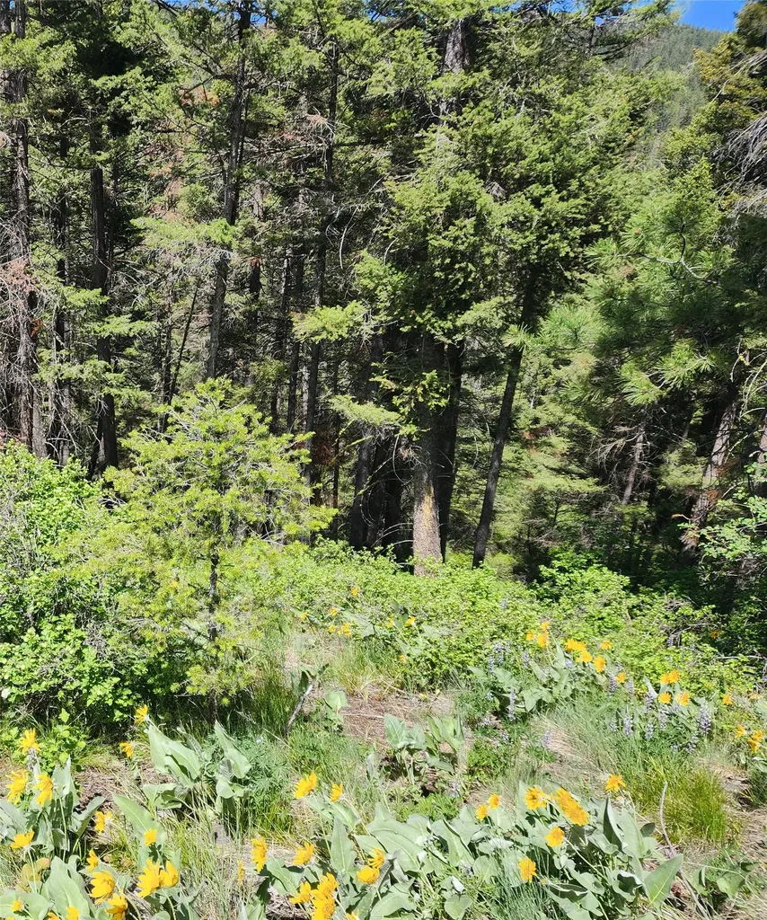 19063 Copper Ridge Trail Florence MT 59833