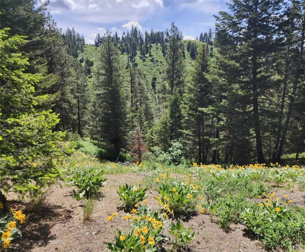 19063 Copper Ridge Trail Florence MT 59833