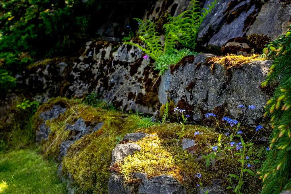 29137 Rocky Point Road Polson MT 59860
