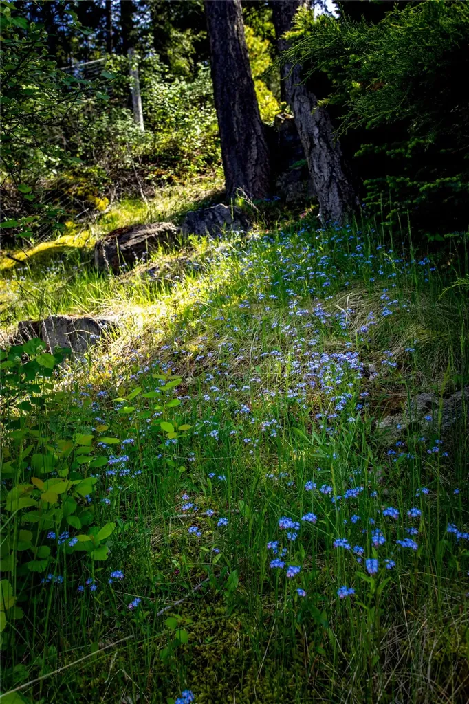 29137 Rocky Point Road Polson MT 59860