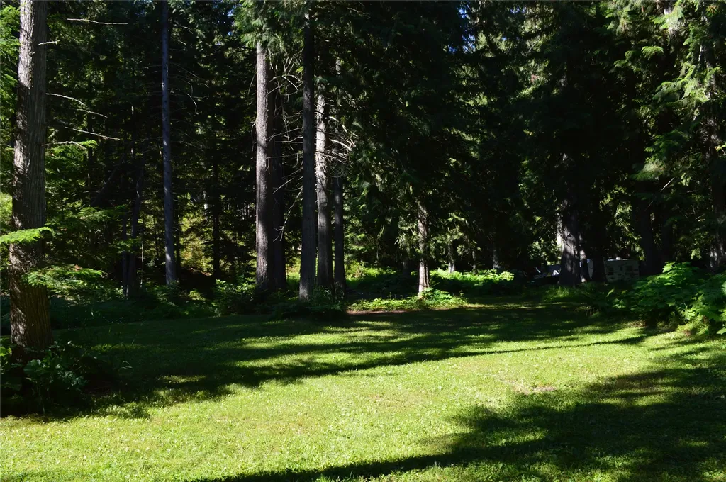 19824 Bull Lake Road Troy MT 59935