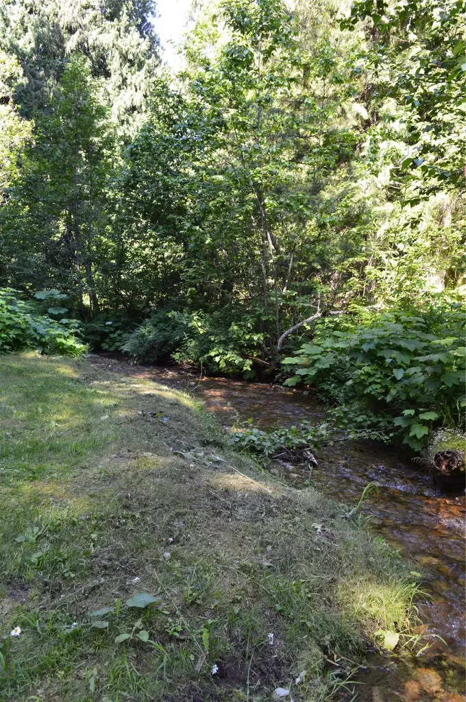 19824 Bull Lake Road Troy MT 59935