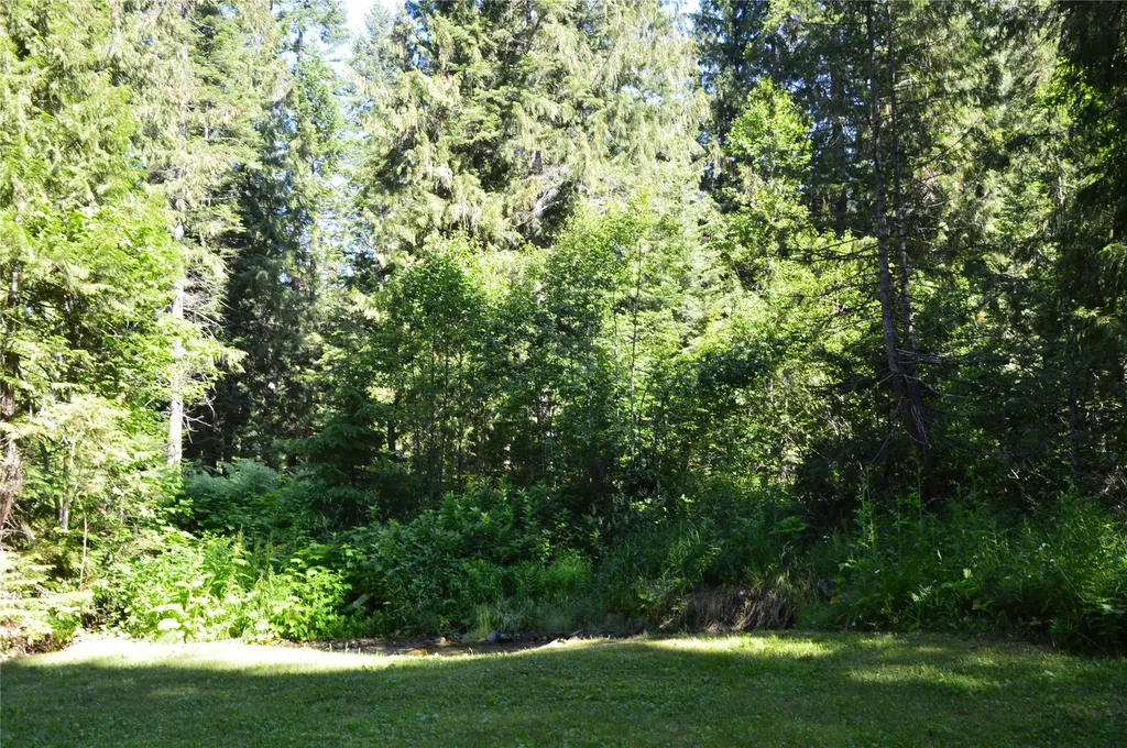 19824 Bull Lake Road Troy MT 59935