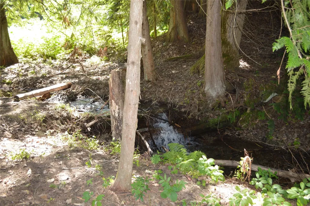 19824 Bull Lake Road Troy MT 59935