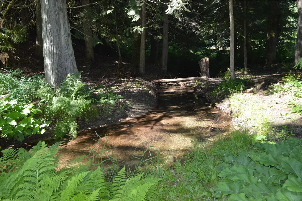 19824 Bull Lake Road Troy MT 59935