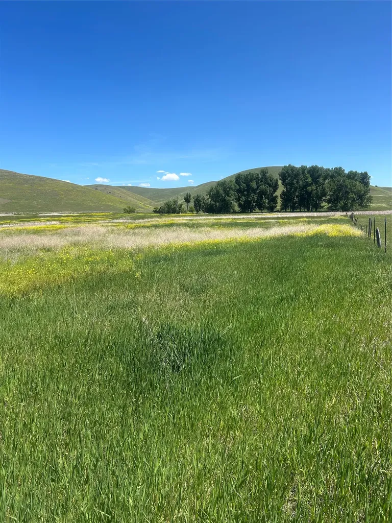 46624 Valley View Road Ronan MT 59864
