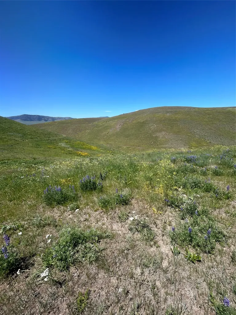 46624 Valley View Road Ronan MT 59864
