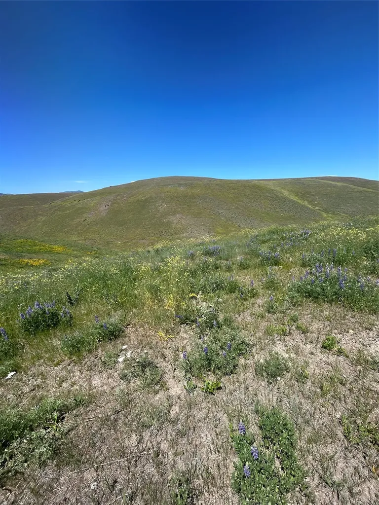 46624 Valley View Road Ronan MT 59864