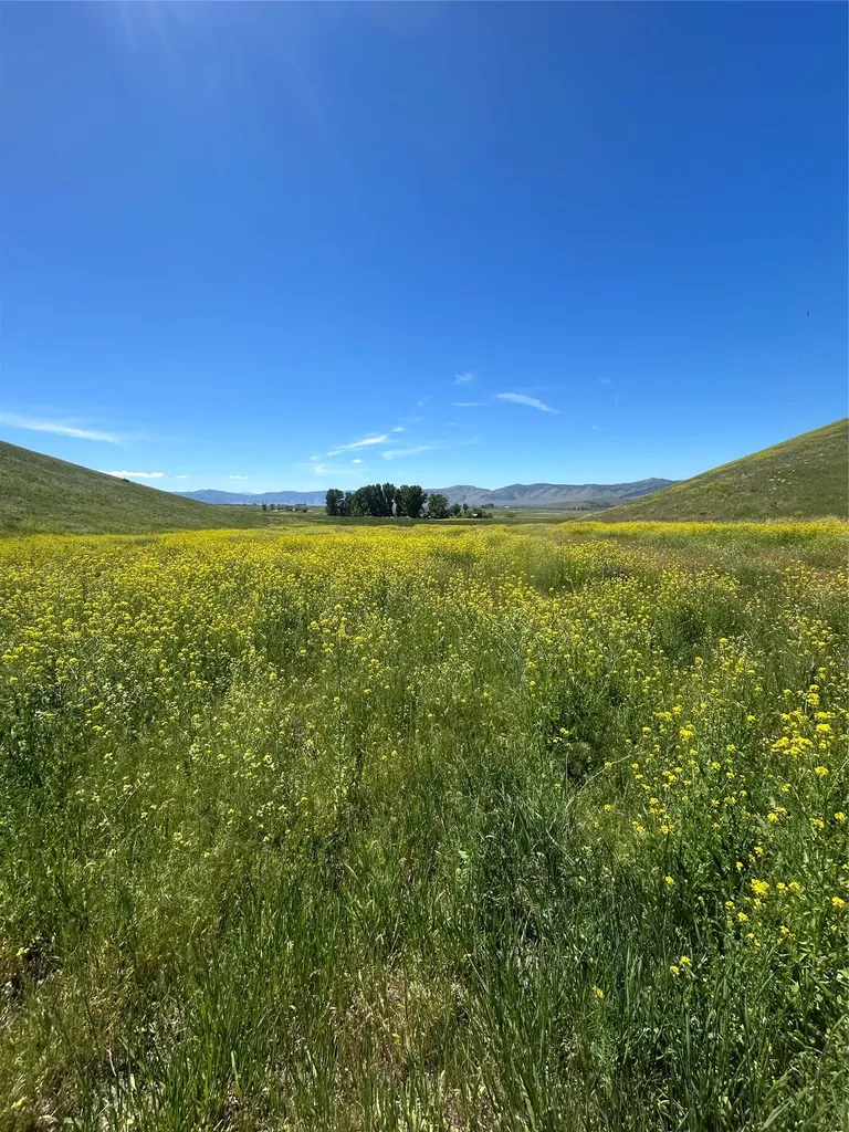 46624 Valley View Road Ronan MT 59864