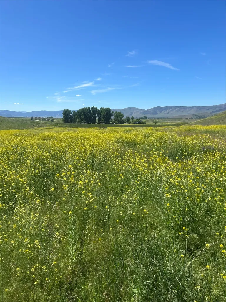 46624 Valley View Road Ronan MT 59864