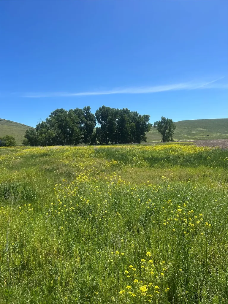 46624 Valley View Road Ronan MT 59864