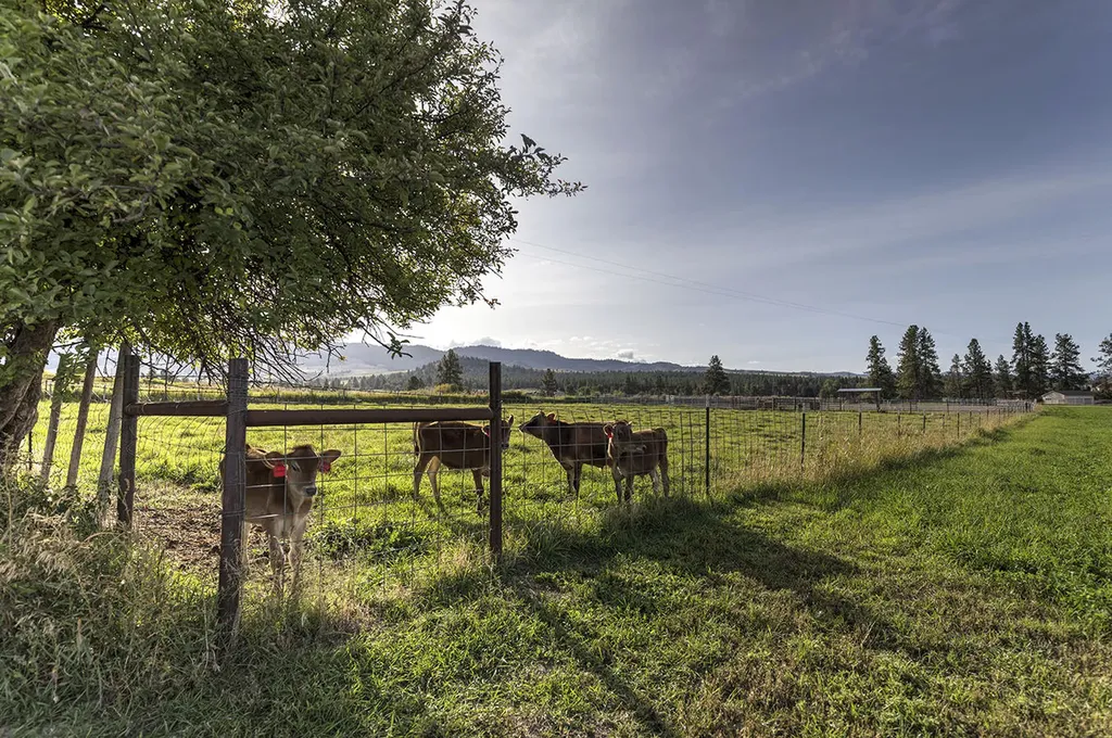 909 Hamilton Heights Road Corvallis MT 59828
