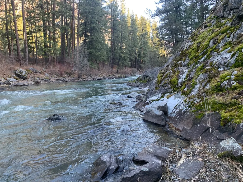 12 Trap Club Lane Thompson Falls MT 59873