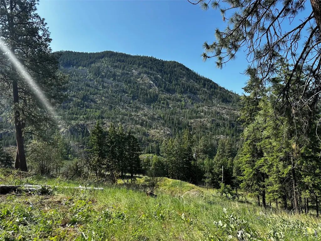 12 Trap Club Lane Thompson Falls MT 59873