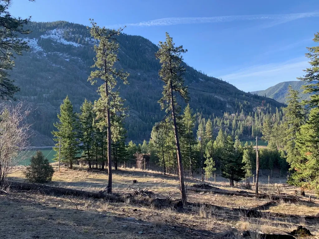 12 Trap Club Lane Thompson Falls MT 59873