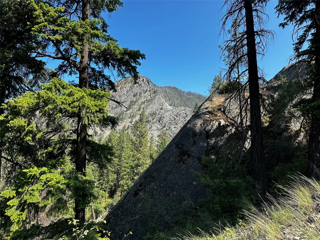 12 Trap Club Lane Thompson Falls MT 59873