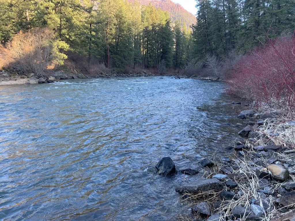 12 Trap Club Lane Thompson Falls MT 59873