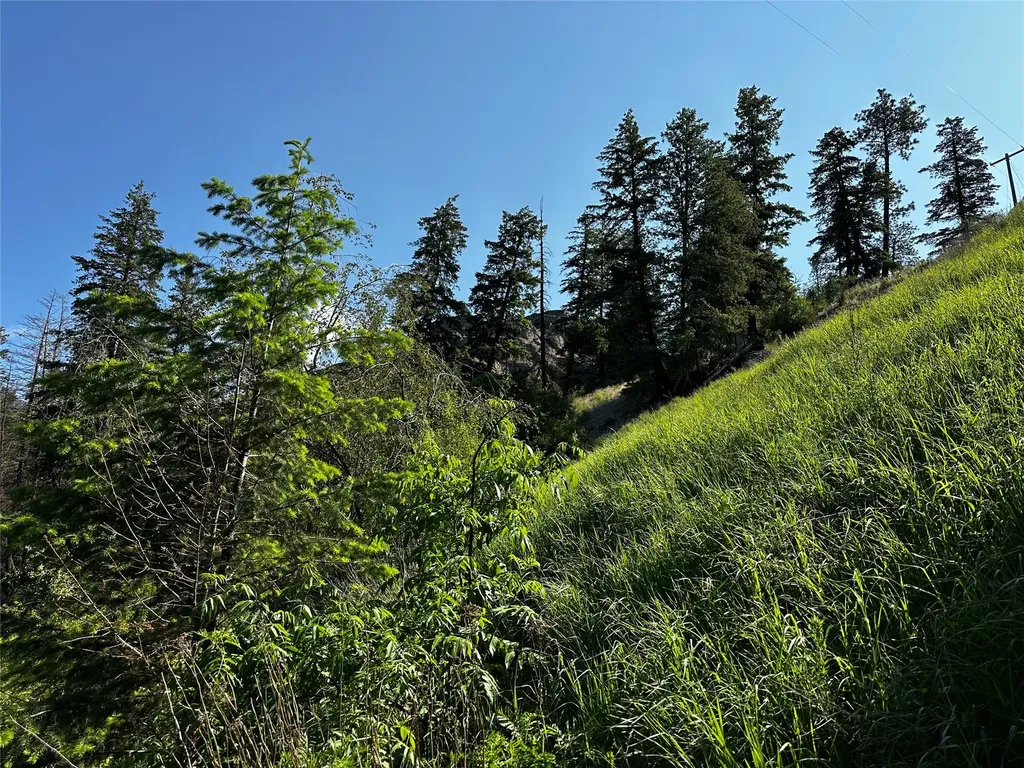 12 Trap Club Lane Thompson Falls MT 59873