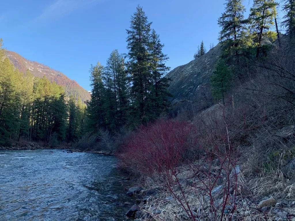 12 Trap Club Lane Thompson Falls MT 59873