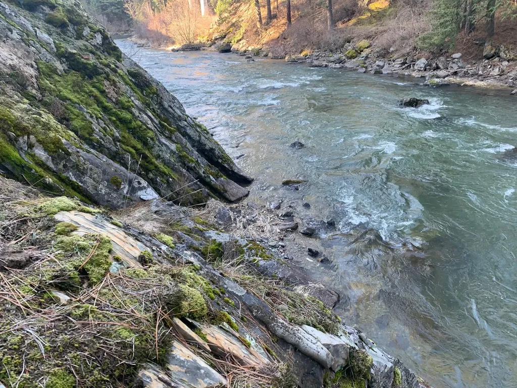 12 Trap Club Lane Thompson Falls MT 59873