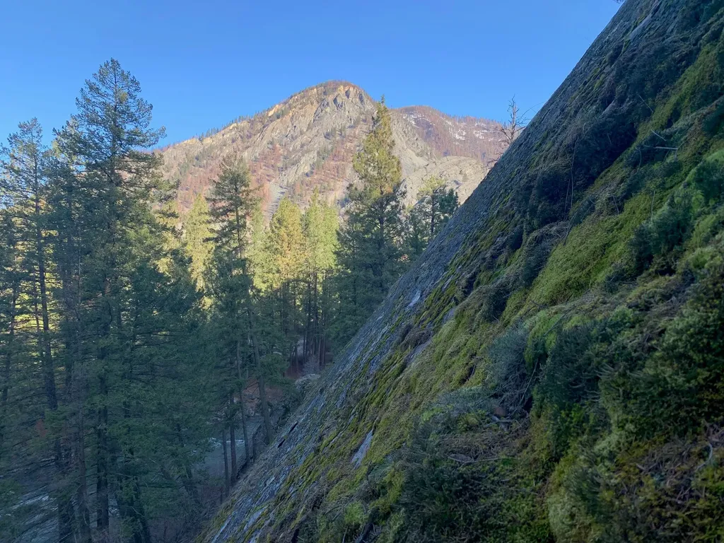 12 Trap Club Lane Thompson Falls MT 59873