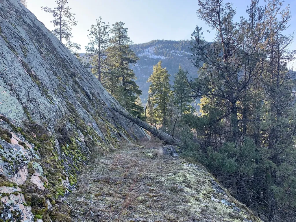 12 Trap Club Lane Thompson Falls MT 59873