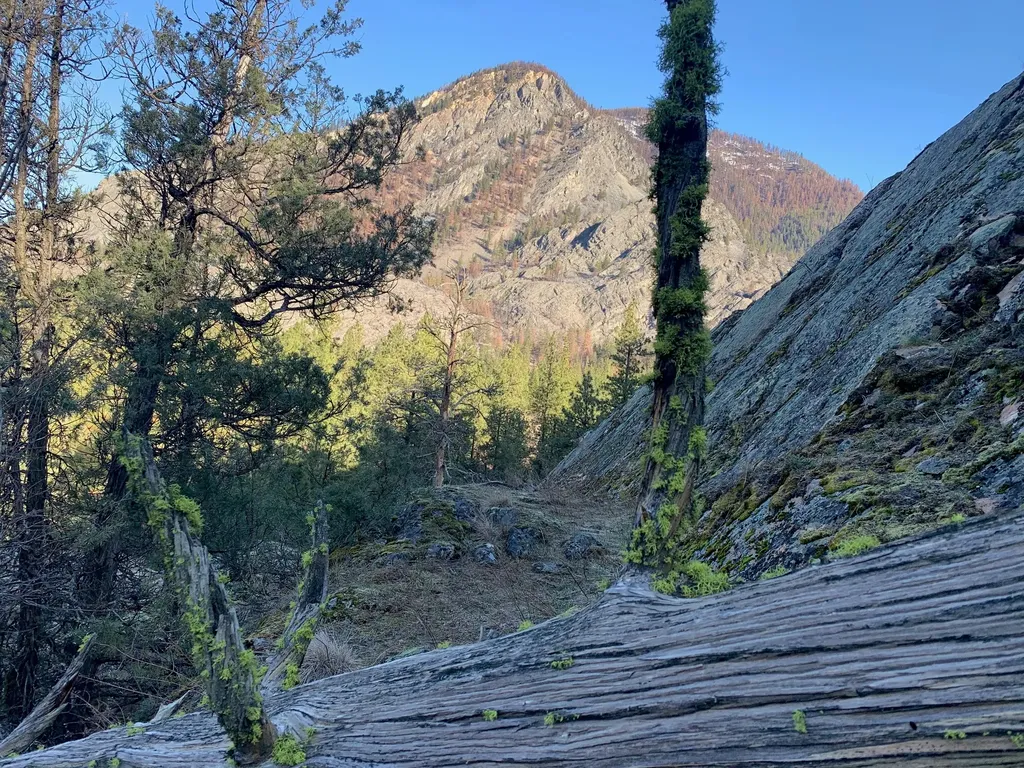 12 Trap Club Lane Thompson Falls MT 59873