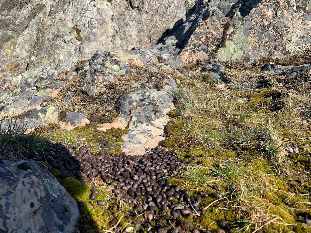 12 Trap Club Lane Thompson Falls MT 59873