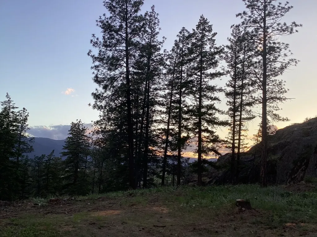 12 Trap Club Lane Thompson Falls MT 59873