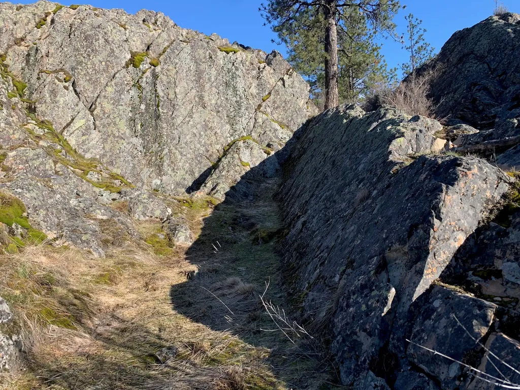 12 Trap Club Lane Thompson Falls MT 59873