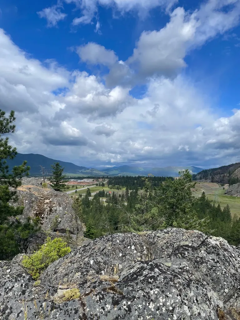 12 Trap Club Lane Thompson Falls MT 59873