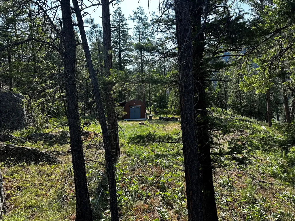 12 Trap Club Lane Thompson Falls MT 59873