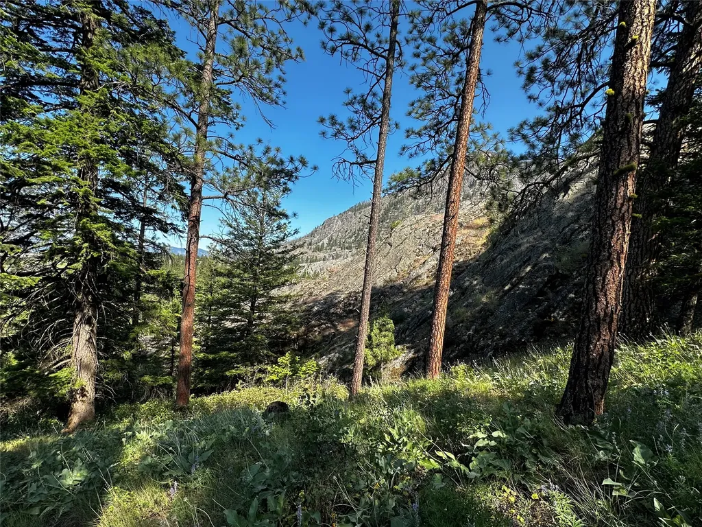 12 Trap Club Lane Thompson Falls MT 59873